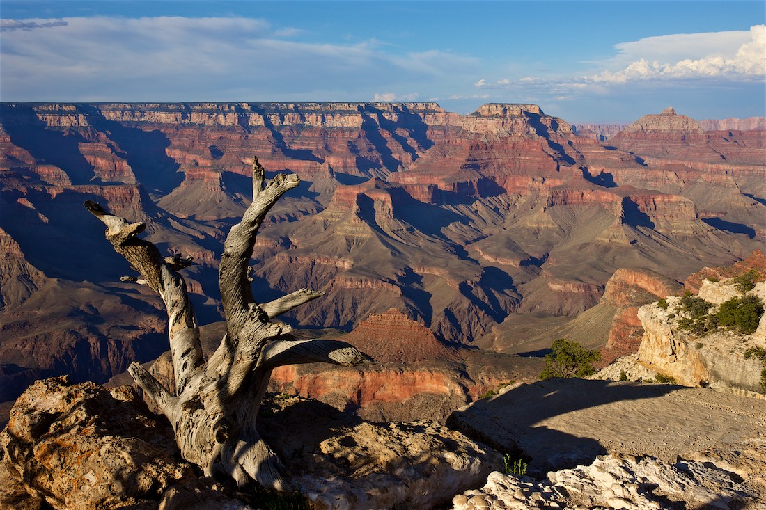 Dagfotos 143-2011 Amerikareis Grand Canyon