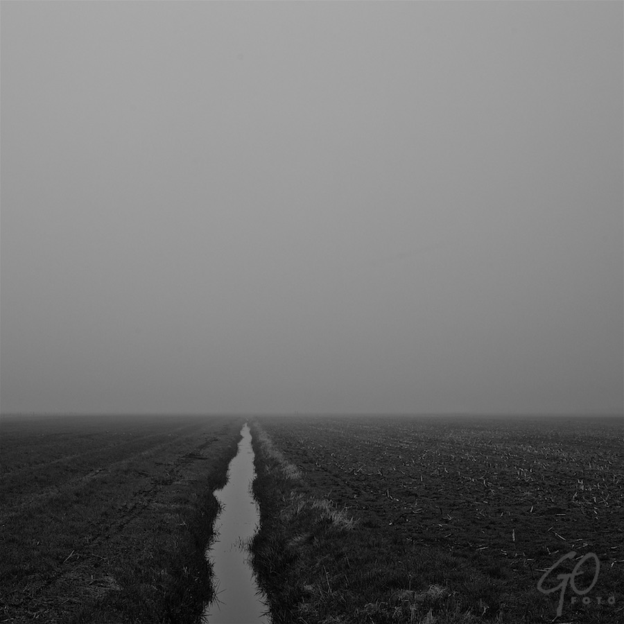 Landschap als medicijn. Foto van een weiland met een sloot bij mist.