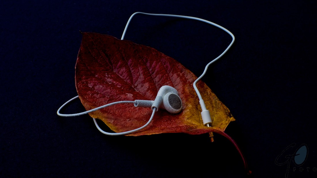 Bladmuziek. Foto van een herfstblad met koptelefoon.