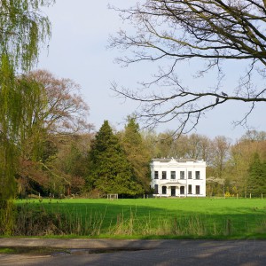 Scherptediepte. Foto van een huis aan een groen weiland.