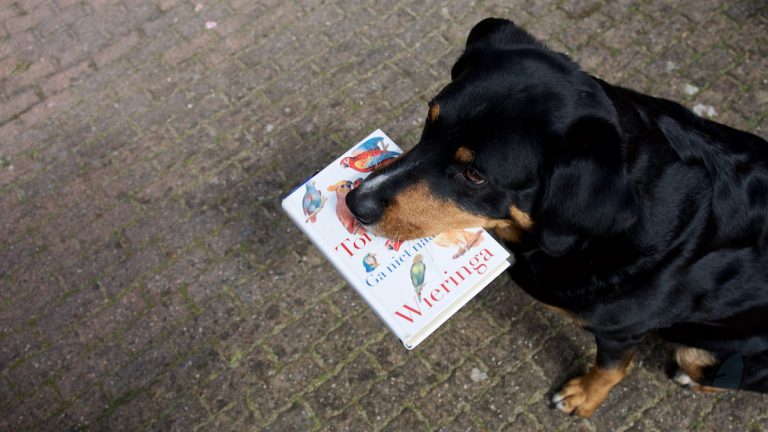 De ontkenning van Tommy Wieringa Hond met boek in bek
