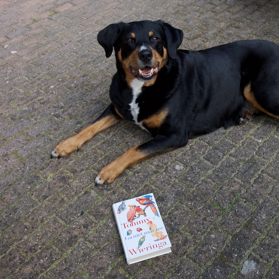 De ontkenning van Tommy Wieringa Donkere Hond met boek