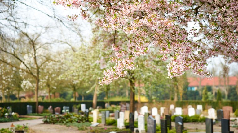 090-2014 Leven en dood op het kerkhof - Gerard Oonk