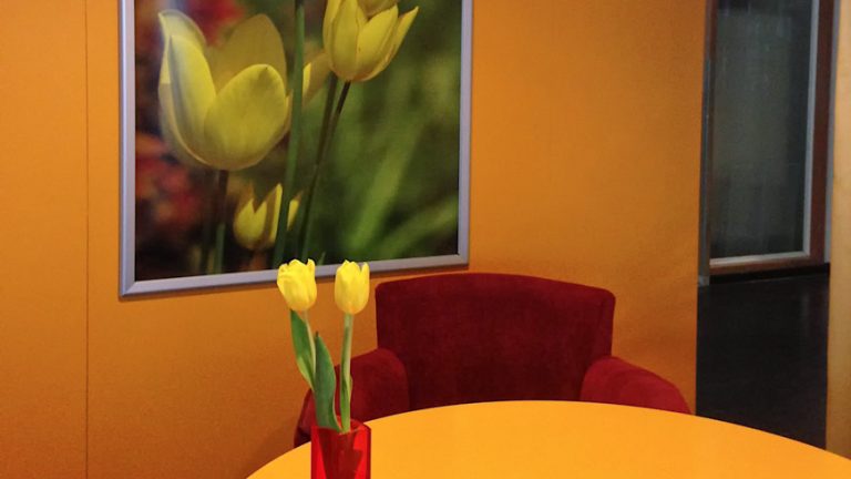 Gele, houten tulpen voor een foto met gele tulpen
