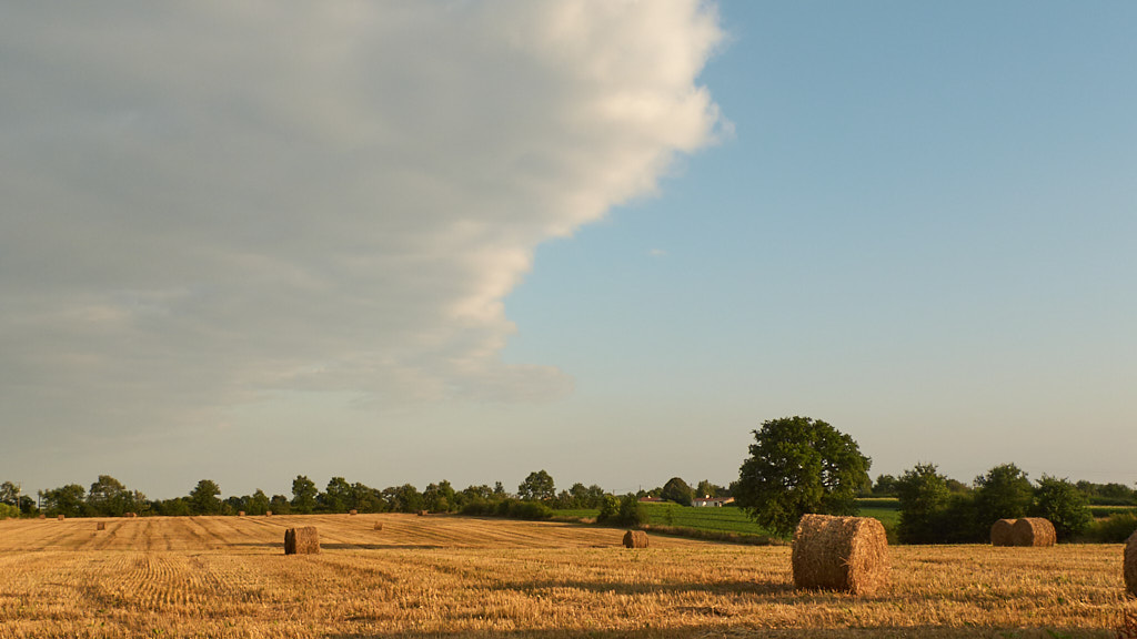 Wolken boven veld met strobalen