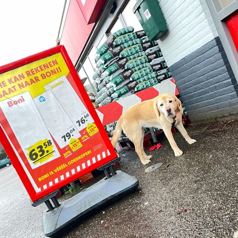 Hond naast reclamebord van supermarkt BONI